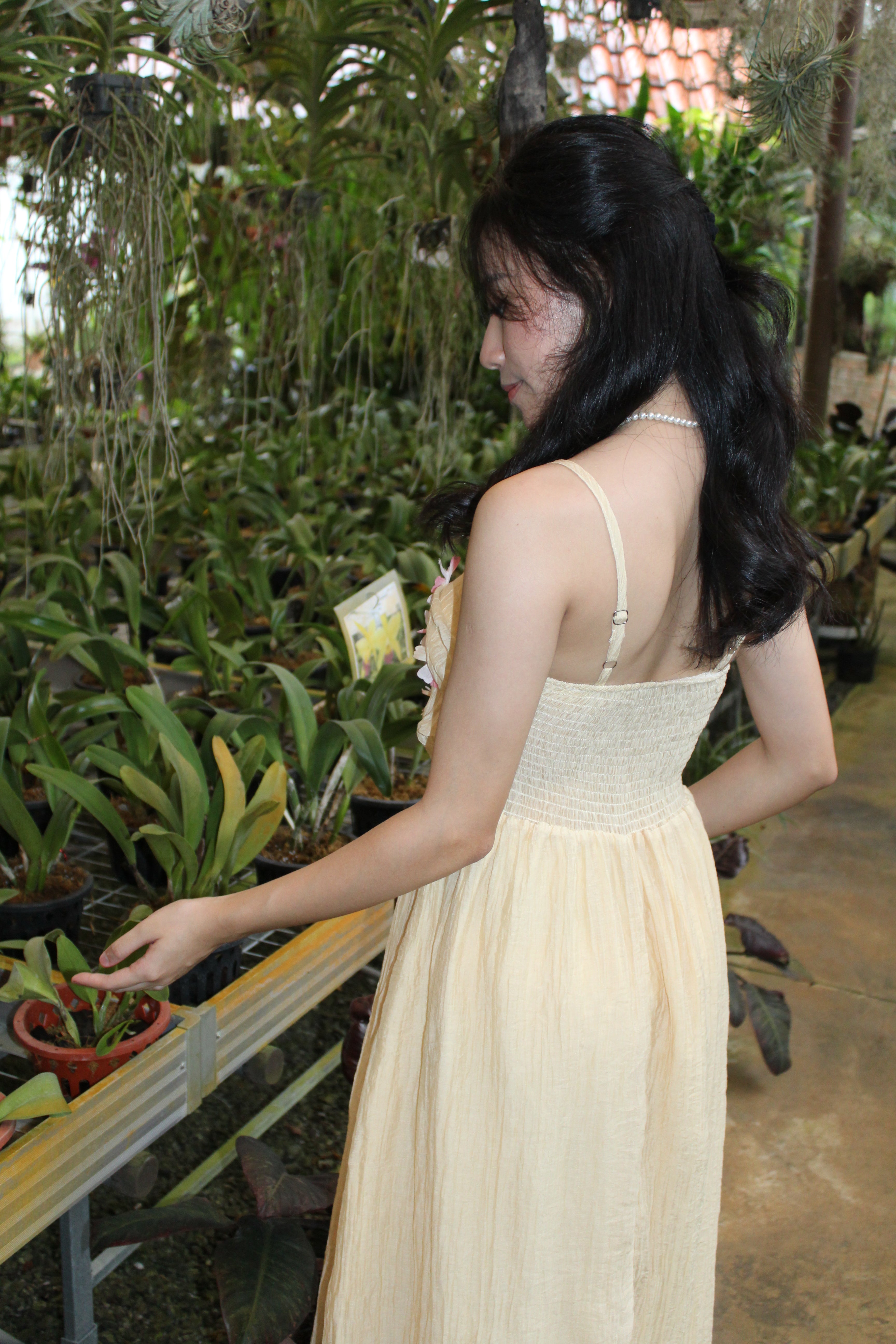 Bailey Midi Dress (Yellow)