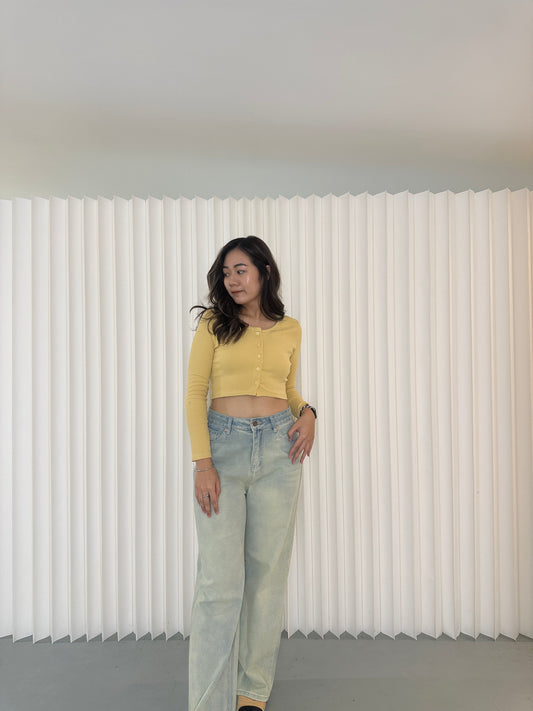 Annie Long Sleeve Crop Top (Yellow)