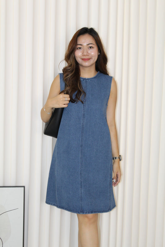 Zara Denim Mini Dress (Blue)